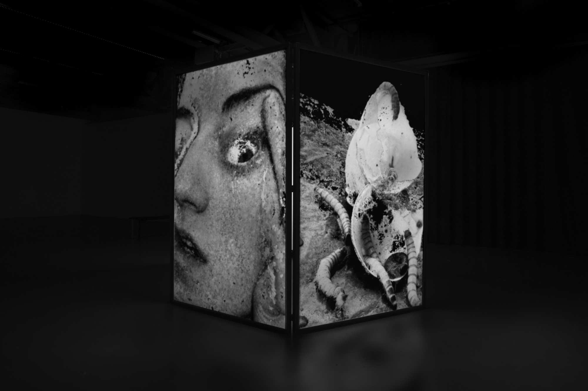 Supra-Memento